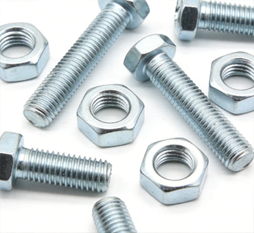 Bulk & Custom Orders